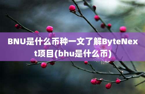 BNU是什么币种一文了解ByteNext项目(bhu是什么币)