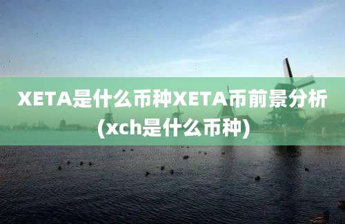 XETA是什么币种XETA币前景分析(xch是什么币种)