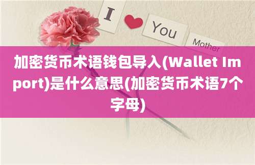 加密货币术语钱包导入(Wallet Import)是什么意思(加密货币术语7个字母)