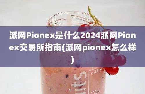 派网Pionex是什么2024派网Pionex交易所指南(派网pionex怎么样)