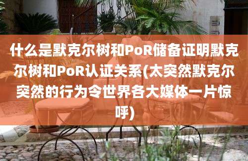 什么是默克尔树和PoR储备证明默克尔树和PoR认证关系(太突然默克尔突然的行为令世界各大媒体一片惊呼)