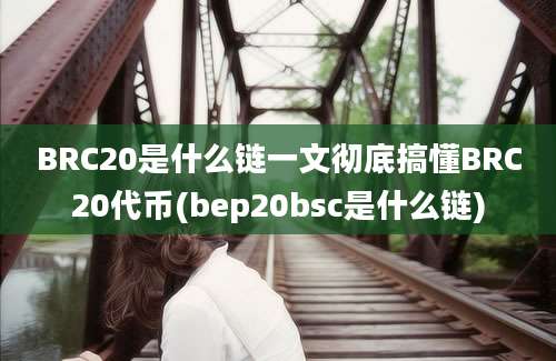 BRC20是什么链一文彻底搞懂BRC20代币(bep20bsc是什么链)