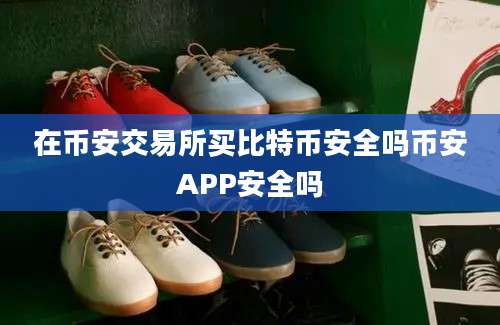 在币安交易所买比特币安全吗币安APP安全吗