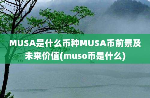 MUSA是什么币种MUSA币前景及未来价值(muso币是什么)