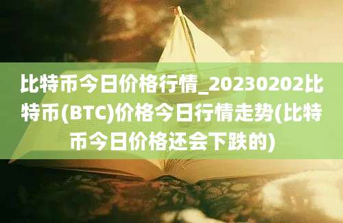 比特币今日价格行情_20230202比特币(BTC)价格今日行情走势(比特币今日价格还会下跌的)