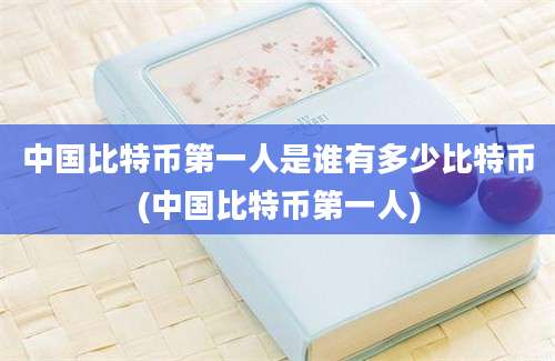 中国比特币第一人是谁有多少比特币(中国比特币第一人)