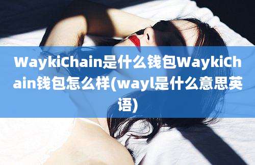 WaykiChain是什么钱包WaykiChain钱包怎么样(wayl是什么意思英语)