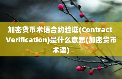 加密货币术语合约验证(Contract Verification)是什么意思(加密货币术语)