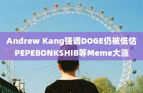 Andrew Kang强调DOGE仍被低估PEPEBONKSHIB等Meme大涨