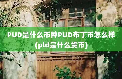 PUD是什么币种PUD布丁币怎么样(pld是什么货币)