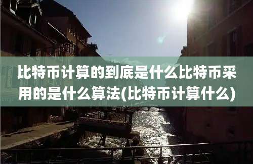 比特币计算的到底是什么比特币采用的是什么算法(比特币计算什么)