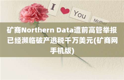 矿商Northern Data遭前高管举报已经濒临破产逃税千万美元(矿商网手机版)