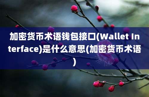 加密货币术语钱包接口(Wallet Interface)是什么意思(加密货币术语)