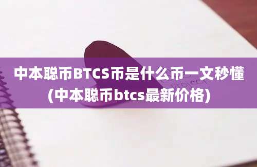 中本聪币BTCS币是什么币一文秒懂(中本聪币btcs最新价格)