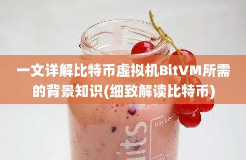 一文详解比特币虚拟机BitVM所需的背景知识(细致解读比特币)