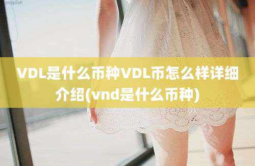 VDL是什么币种VDL币怎么样详细介绍(vnd是什么币种)