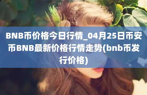 BNB币价格今日行情_04月25日币安币BNB最新价格行情走势(bnb币发行价格)