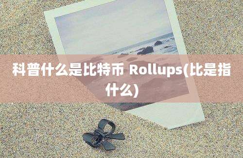 科普什么是比特币 Rollups(比是指什么)