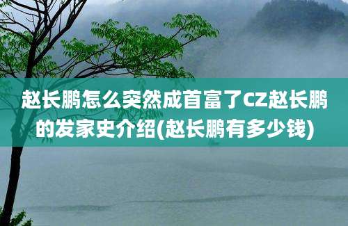 赵长鹏怎么突然成首富了CZ赵长鹏的发家史介绍(赵长鹏有多少钱)