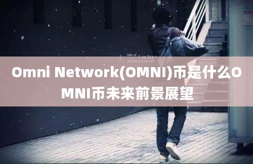 Omni Network(OMNI)币是什么OMNI币未来前景展望