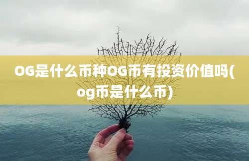 OG是什么币种OG币有投资价值吗(og币是什么币)