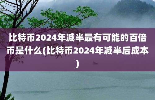 比特币2024年减半最有可能的百倍币是什么(比特币2024年减半后成本)