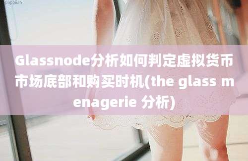 Glassnode分析如何判定虚拟货币市场底部和购买时机(the glass menagerie 分析)