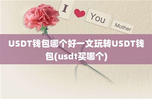 USDT钱包哪个好一文玩转USDT钱包(usdt买哪个)