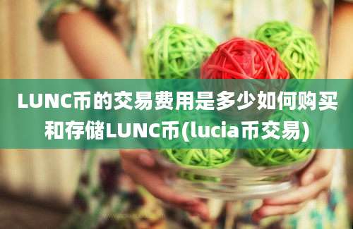 LUNC币的交易费用是多少如何购买和存储LUNC币(lucia币交易)