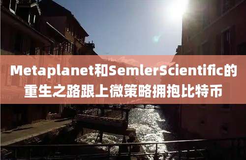 Metaplanet和SemlerScientific的重生之路跟上微策略拥抱比特币