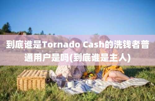 到底谁是Tornado Cash的洗钱者普通用户是吗(到底谁是主人)