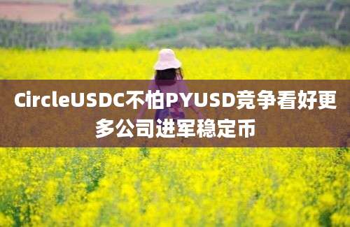 CircleUSDC不怕PYUSD竞争看好更多公司进军稳定币