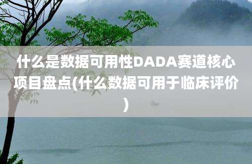 什么是数据可用性DADA赛道核心项目盘点(什么数据可用于临床评价)