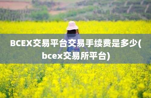 BCEX交易平台交易手续费是多少(bcex交易所平台)