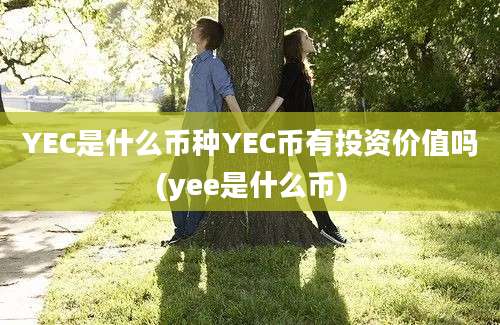 YEC是什么币种YEC币有投资价值吗(yee是什么币)