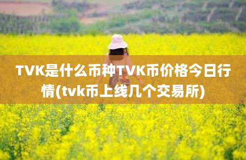 TVK是什么币种TVK币价格今日行情(tvk币上线几个交易所)