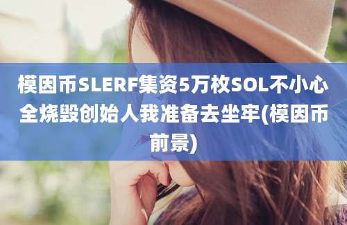 模因币SLERF集资5万枚SOL不小心全烧毁创始人我准备去坐牢(模因币前景)