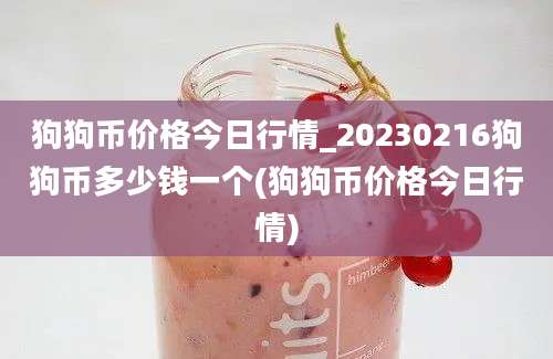 狗狗币价格今日行情_20230216狗狗币多少钱一个(狗狗币价格今日行情)