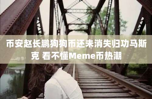 币安赵长鹏狗狗币还未消失归功马斯克 看不懂Meme币热潮