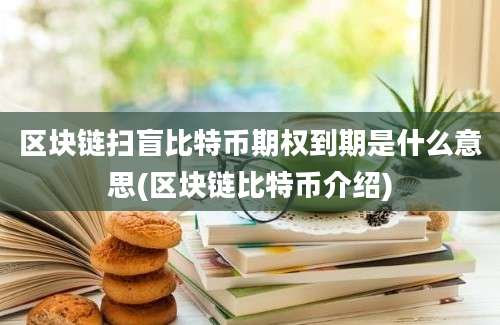 区块链扫盲比特币期权到期是什么意思(区块链比特币介绍)