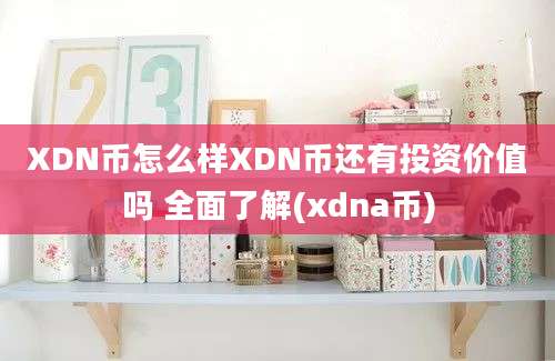 XDN币怎么样XDN币还有投资价值吗 全面了解(xdna币)