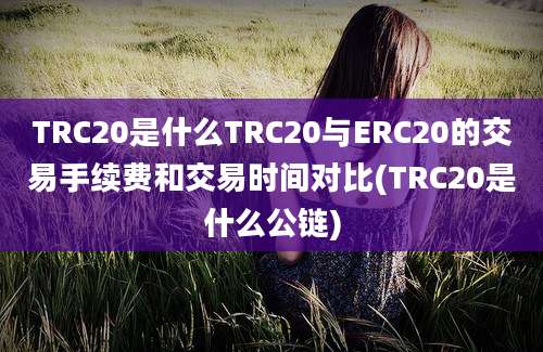 TRC20是什么TRC20与ERC20的交易手续费和交易时间对比(TRC20是什么公链)