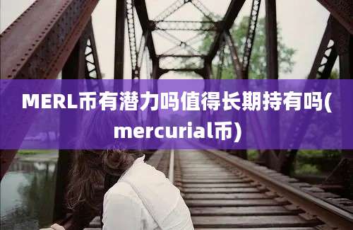 MERL币有潜力吗值得长期持有吗(mercurial币)