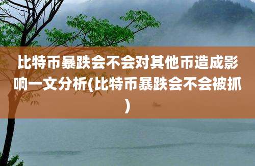 比特币暴跌会不会对其他币造成影响一文分析(比特币暴跌会不会被抓)