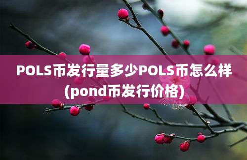 POLS币发行量多少POLS币怎么样(pond币发行价格)