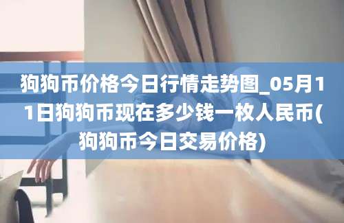 狗狗币价格今日行情走势图_05月11日狗狗币现在多少钱一枚人民币(狗狗币今日交易价格)