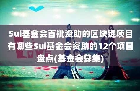 Sui基金会首批资助的区块链项目有哪些Sui基金会资助的12个项目盘点(基金会募集)