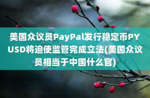 美国众议员PayPal发行稳定币PYUSD将迫使监管完成立法(美国众议员相当于中国什么官)