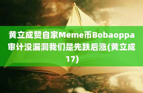 黄立成赞自家Meme币Bobaoppa审计没漏洞我们是先跌后涨(黄立成17)