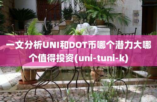 一文分析UNI和DOT币哪个潜力大哪个值得投资(uni-tuni-k)